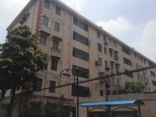 电梯房!电梯房!双南全明!客厅朝东有窗!厨卫全明!随时看!!