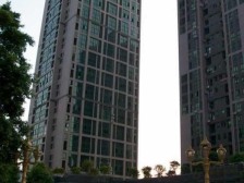 鸳鸯 金城银樽一房35万