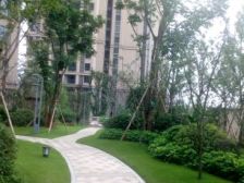 南坪六公里轻轨旁边的清水三房+中间楼层视线好