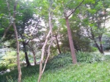 空港新城带大LT视野开阔精装顶跃 一大家子欢聚一堂