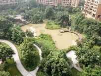 大平层头牌看江,价格优质,看房方便。