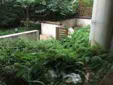 汽博花园洋房一楼带花园面积大。可使用空间大,端户,