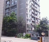 户型方正,看江视野很好,每个房间都采光。