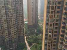 业主自住精装,交通出行方便、小区自带幼儿园。