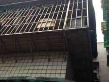 黄桷园小区业主自己住家装修保持好