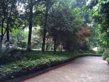 沙滨路180°江景视野双阳台四房三卫诚心出售