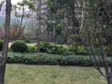 装修170来万+内圈+全屋地暖中空调+屋顶花园+子母车位