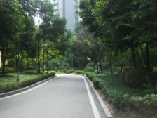 云栖谷简装三室出售 采光好 户型方正 业主诚心出售