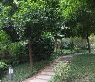 云栖谷精装两室出售采光好户型方正诚心出售看房方便