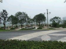 正看高尔夫球场,视野开阔无遮挡