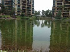 地理位置好,近时代天街,小区环境好,低楼层朝中庭