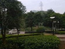 岔路口次新小区世贸广场,户型方正,采光好,诚心出售