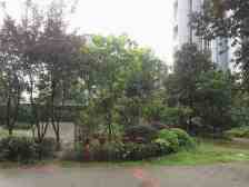 高新区 恒高月光宝盒一房21.4万