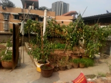 小区就在四公里轻轨和环线旁边出行方便