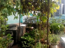 四公里 四海花园二房