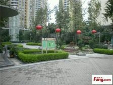 杨家坪 中阳大厦三房100万