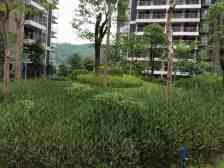 御湖城 风景优美 业主诚心出