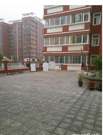 中牟县清华园3室2厅1卫南朝向900.00元/月出租
