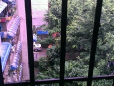 南坪 万寿花园一房46万