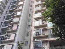 俯瞰松江公园传世大宅,这辈子总得住一次大平层