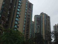 恒大名都中间楼层 户型方正 带储物间 大阳台 视野好