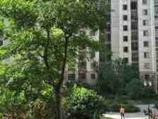 地中海阳光 南北通透,采光好 装修好,环镜优美 近地铁 周边匹套完善,,出行方便