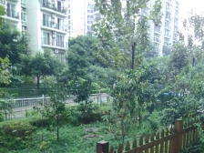 十佳小区,品质物业,板式结构,南北朝向