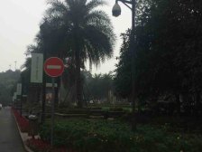 观音桥 保利山庄别墅四房800万