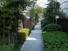 2019年装修顶楼复式实际280平西端户