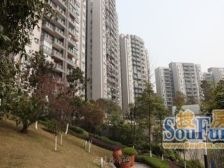 御景江城 户型方正 三方双卫
