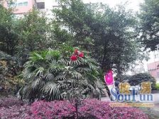 留金岁月 3室1厅 东南