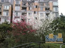 铜元局 融侨风临洲A区二房97万