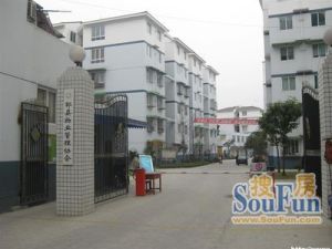 东福苑A区2室1厅东东南