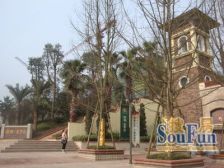 楼层好,视野开阔,采光足,交通便利