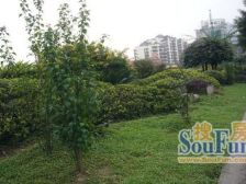 步行街 金华大厦(大渡口)二房27万