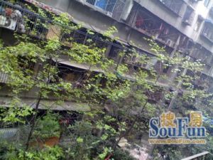 蜀营街55号 3室2厅 北