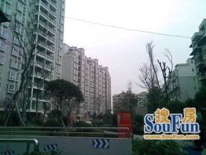 红树林3室2厅南