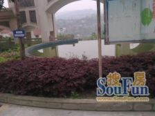 顺江大道 乌江航道站(顺江大道)二房25万