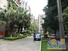 桂城百合村 精装3房 位置安静 采光足 户型方正