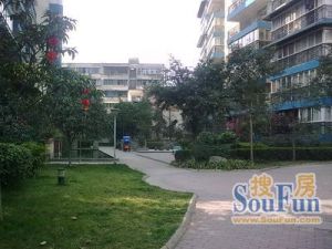 蜀都新城 2室2厅 东南