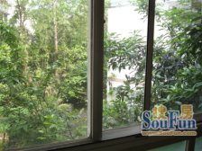 青城阳光 1室1厅 东南