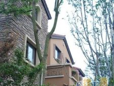 龙湖东桥郡七组团 5室1厅 东南