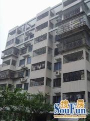 后坂新村3室2厅南