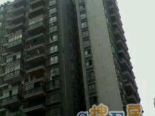 出门方便.步行街商圈房房型方正