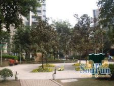 大坪 协信云栖谷三房119万