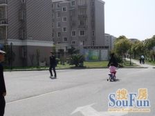 罗新苑西区 2室1厅 南 北