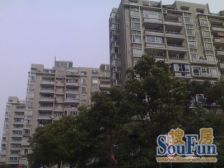 大面积两房,楼层刚刚好,位于杨行老街,生活方便