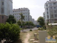 丹桂佳苑 1室1厅 南