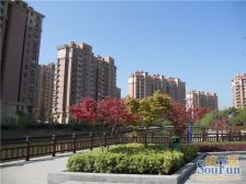 满五年一套房-张江东-唐镇国际社区-地铁2号线唐镇站