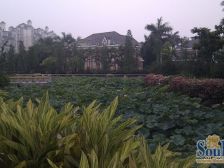 碧桂花城锦苑 花城致新区 环境好人车分流 有地下车库